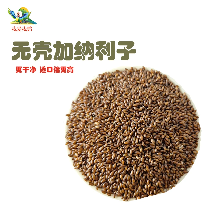 虎皮玄凤牡丹小太和尚鹦鹉无壳加纳利子干净天然零食