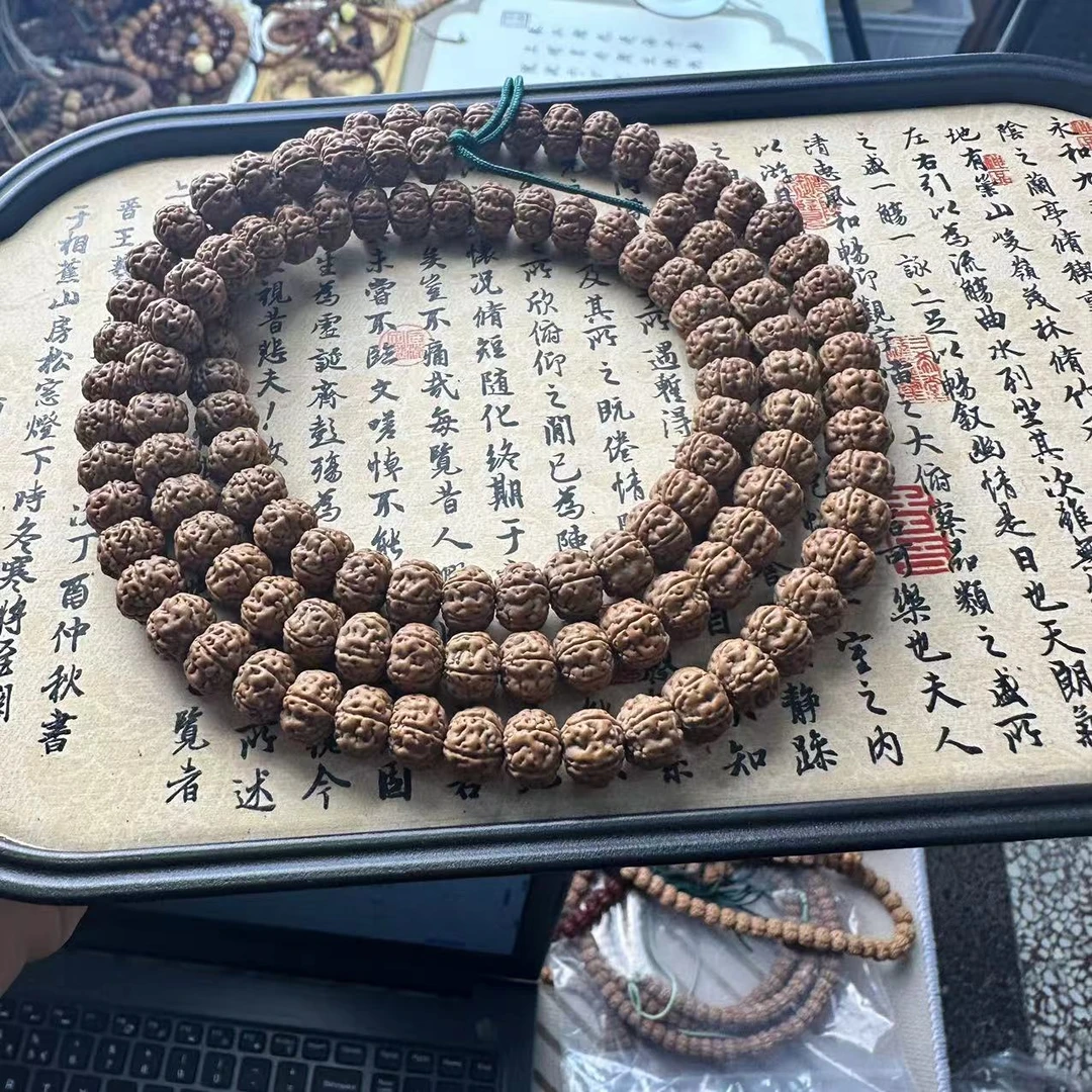 金刚菩提老树王长串