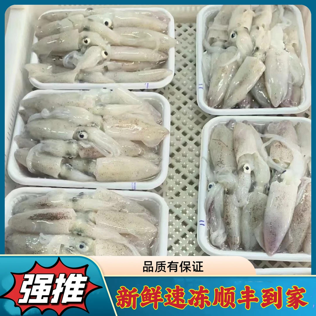 【头姐】北部湾灯光海捕鱿鱼/海兔（直播代买海鲜，现称重现改价链接）