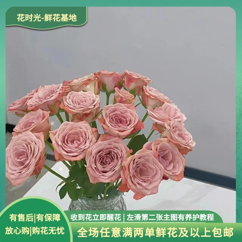 【卡布奇诺】10枝单头玫瑰  基地直发   | 全场任意满两单鲜花包邮