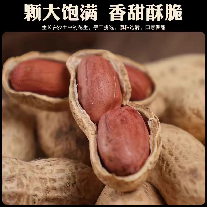 2024年原味柴火炒花生精选酥脆香聚会送礼零食坚果下酒菜瓜子炒货