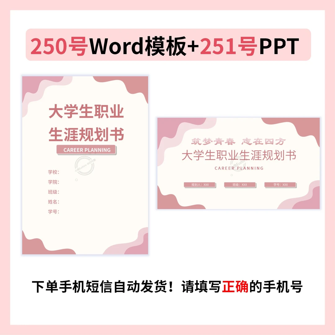 职业生涯规划书250号Word+251号PPT