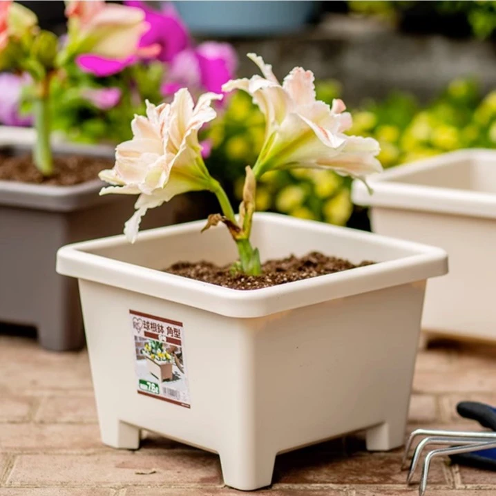 【活动福利】爱丽思球根方形花盆透气栽植物花盆阳台绿植盆种菜盆