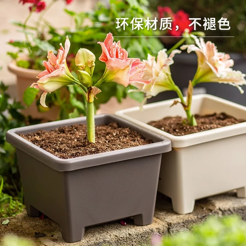 【球根盆买一送一】爱丽思花盆栽植物花盆阳台塑料花盆绿植盆种菜盆
