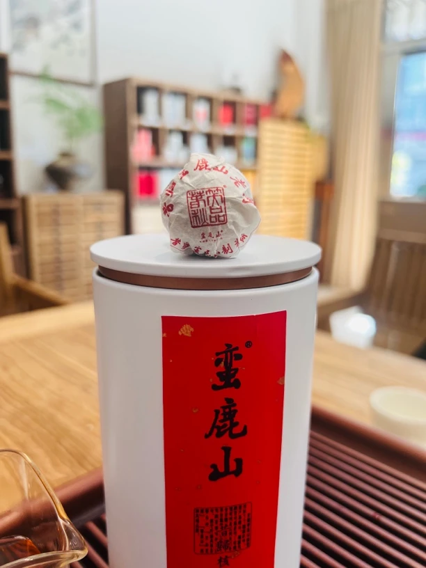 昔归（蛮鹿山）核心区纯古树手工龙珠.汤水含香.回甘生津.茶气十足！