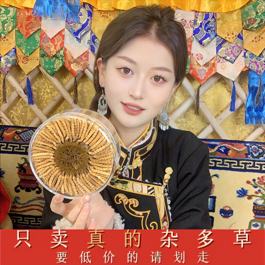 顿珠推荐】2023头茬精选冬虫夏草5-6根/1g 自用款 支持鉴定