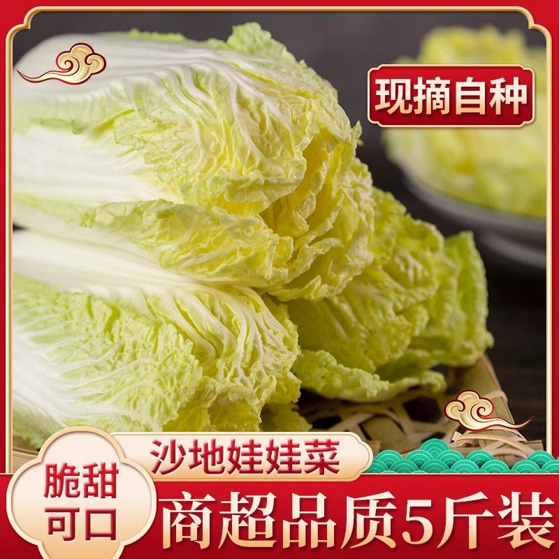 【现挖现发】精品黄心娃娃菜时令新鲜蔬菜3-6颗泡菜食材非白菜5斤