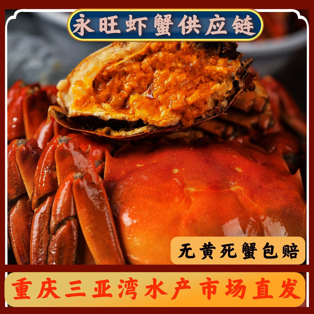 江苏大闸蟹 2两 2.5两 3两 3.5两/只（母蟹）
