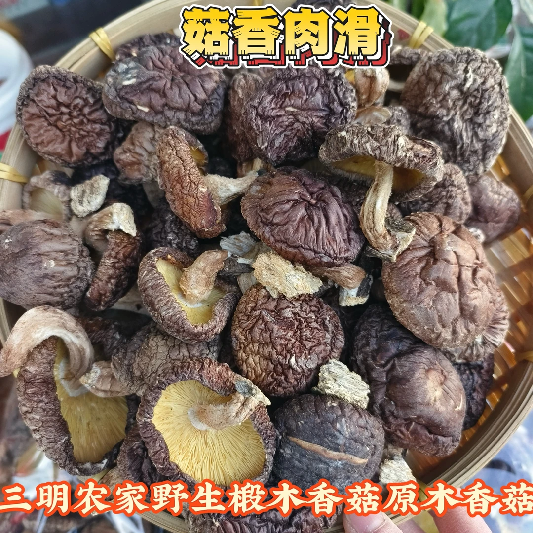 福建三明建宁农家野生椴木香菇原木香菇干货农家食用菌