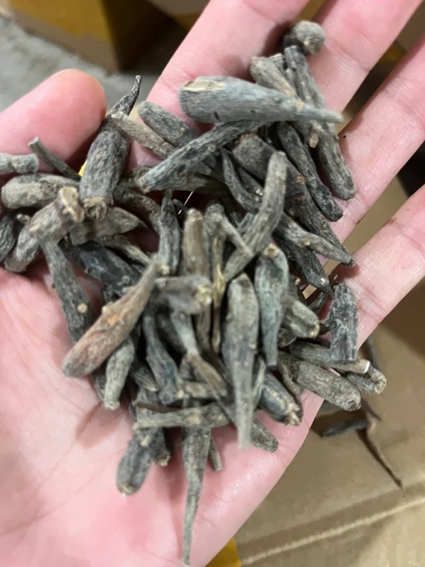 小蒲推荐山货双参太阳参100克起