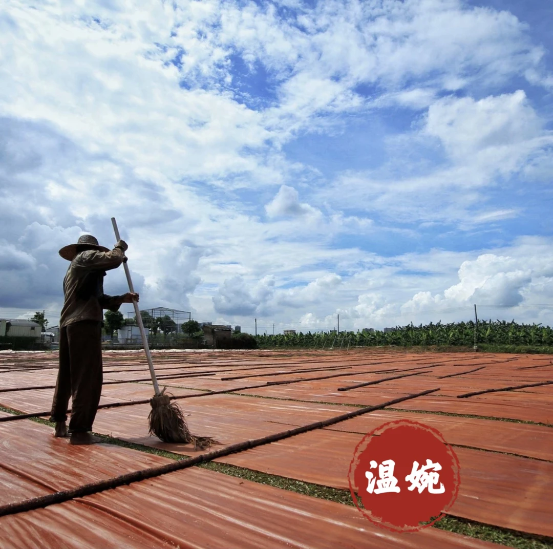 真丝香云纱桑蚕丝面料 不支持七天无理由139