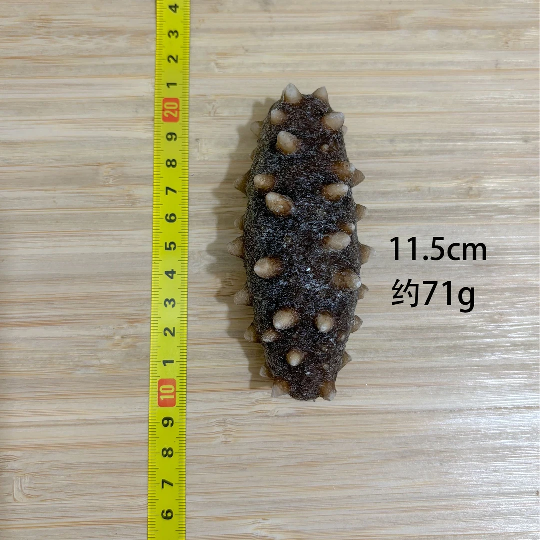 【滋补一个月】30根大头即食海参共四斤