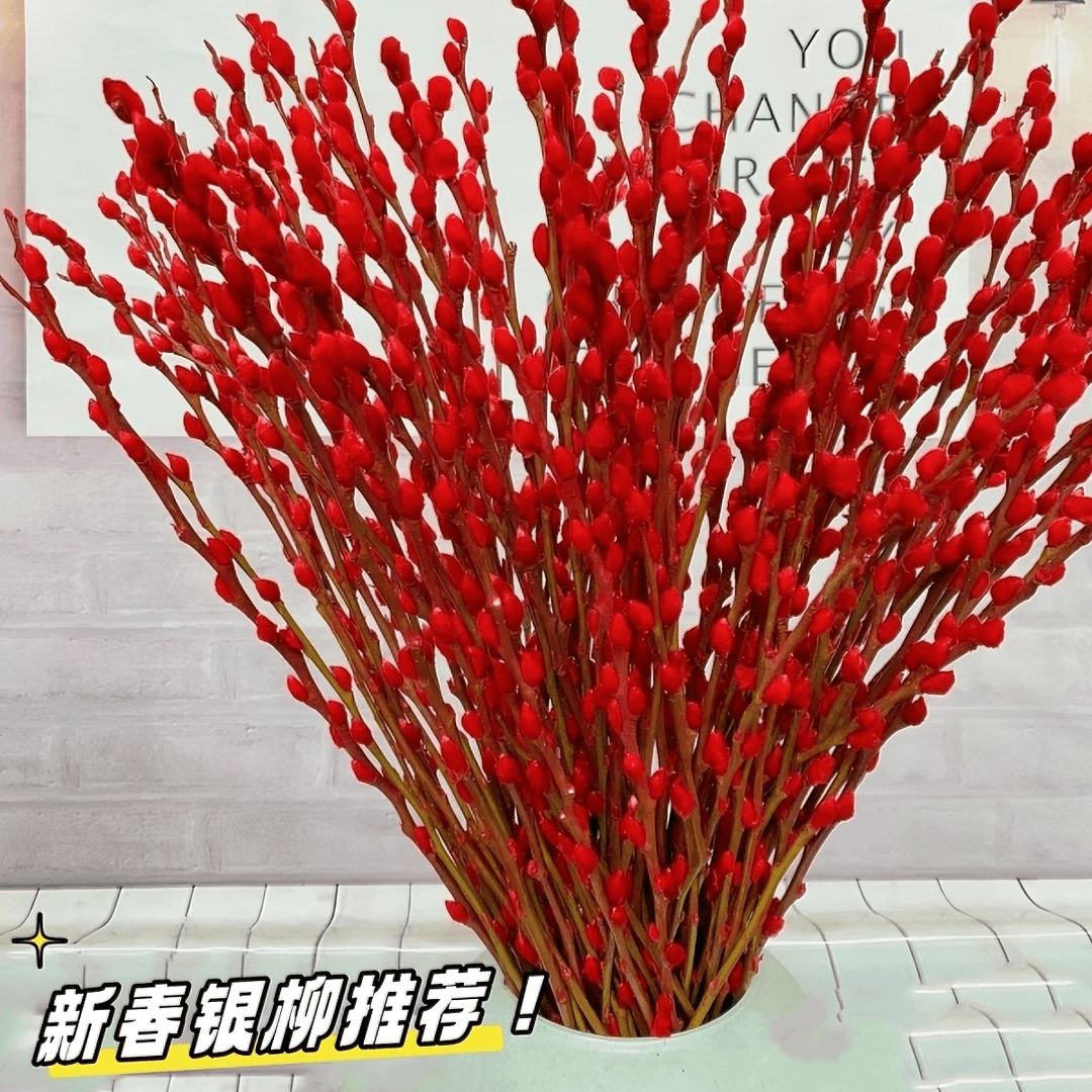 基地直发高大银柳新年宵花卉银柳真花落地客厅摆放花鲜枝超大银柳
