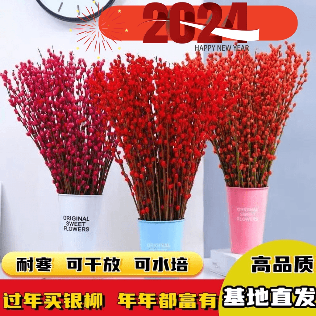 招财新鲜银柳干花真花鲜枝耐寒年宵花水培花卉室内客厅摆放装饰花