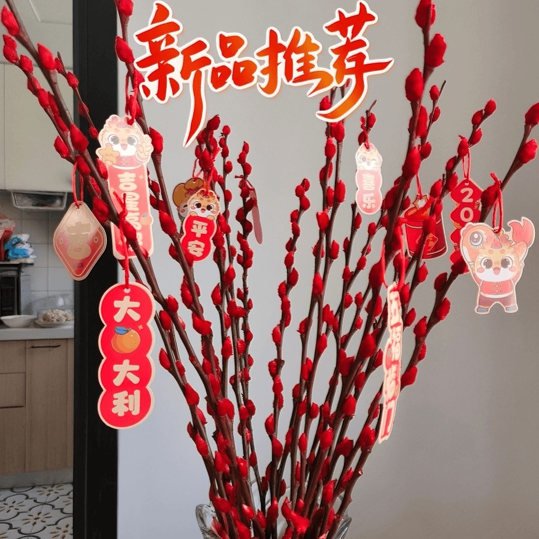 银柳干花红色招财2024红红火火真花鲜枝耐寒年宵花水培客厅装饰花