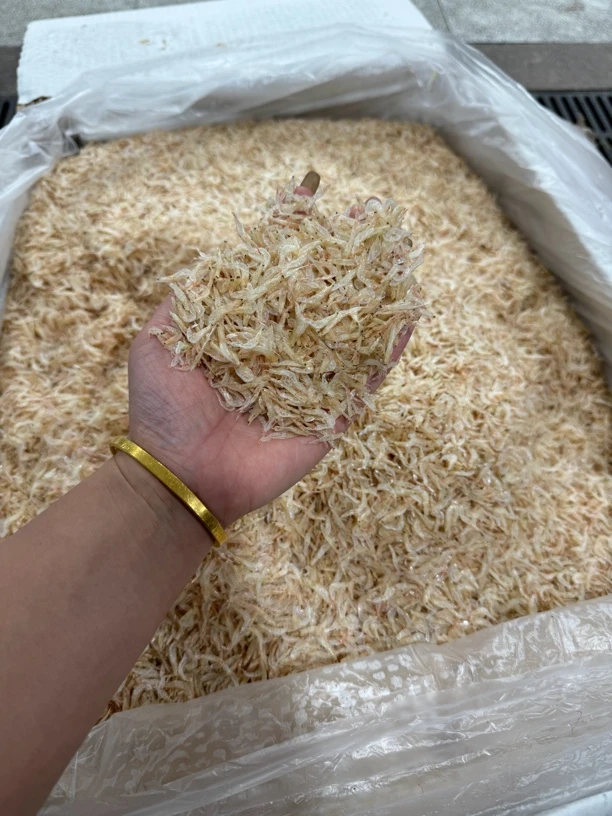 汕尾马宫本港无沙淡干虾皮