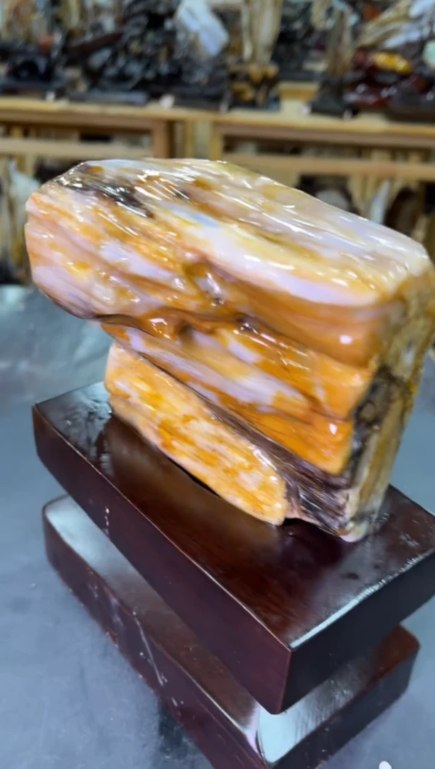 【闪购商品】硅化玉（树化玉）摆件未镶嵌精品树化玉