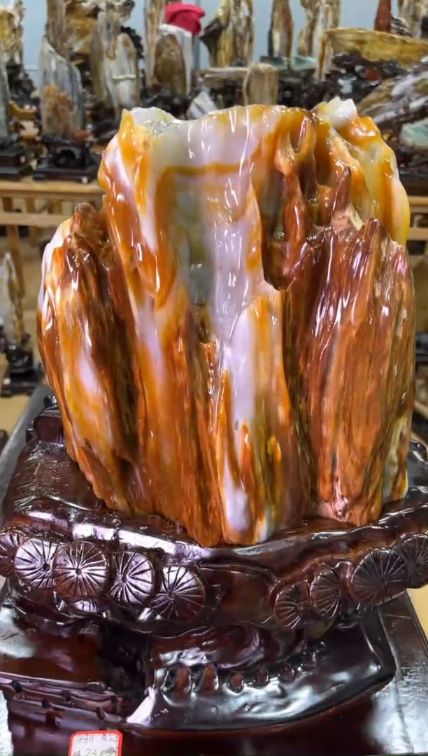 【闪购商品】硅化玉（树化玉）摆件未镶嵌精品树化玉