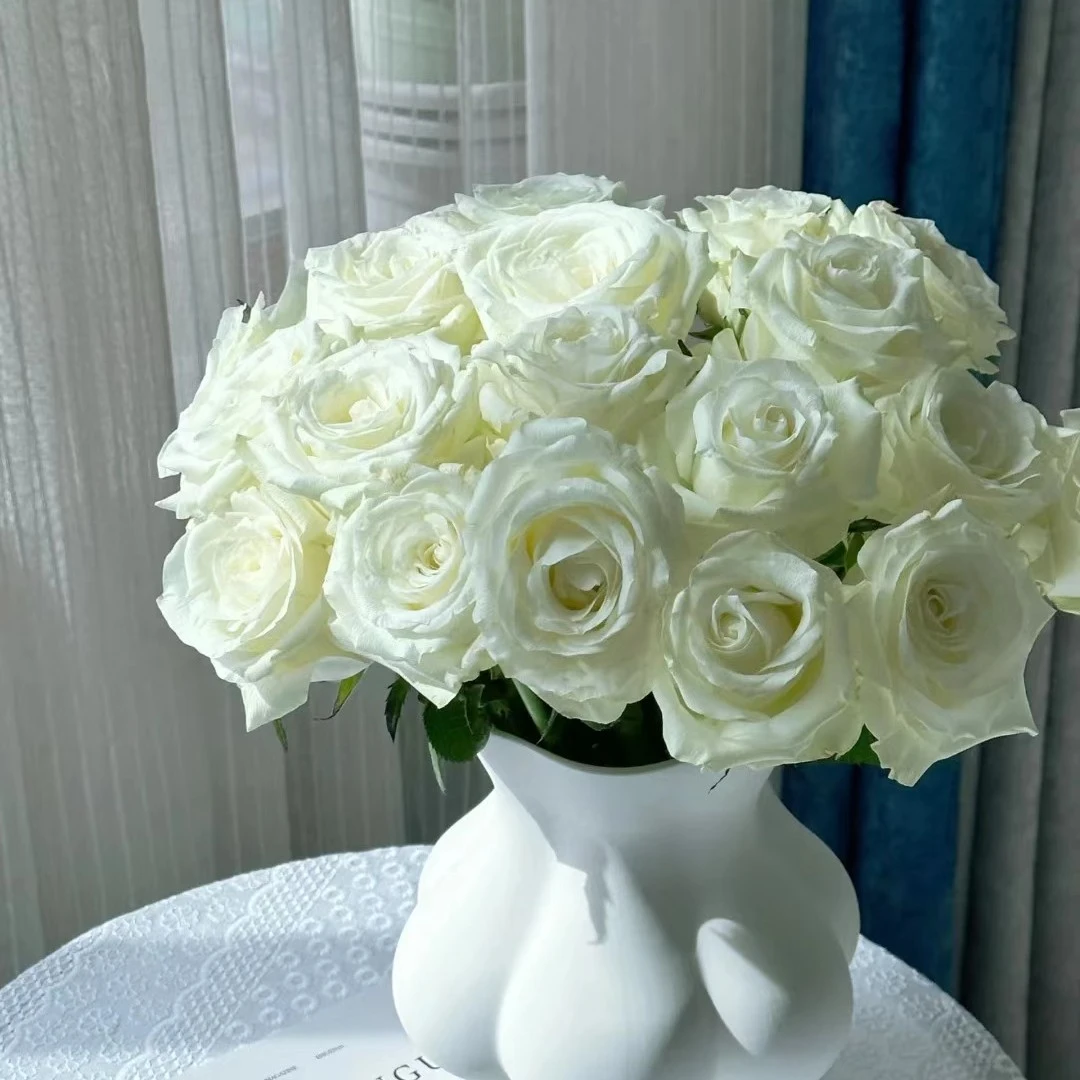 【白雪山】AB级新鲜花材，顺丰冷链包邮，（东三西四省＋海南除外）