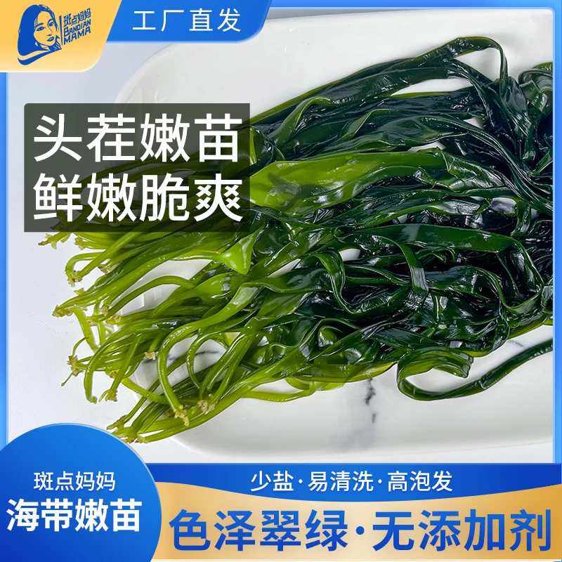 福建霞浦鲜嫩脆爽海带嫩苗火锅食材200g营养好吃头茬采摘海洋蔬菜