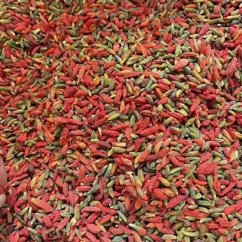 农家花枸杞500g/份