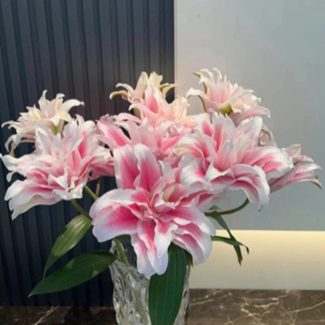 【伊莎贝拉】百合东北鲜花基地直发顺丰包邮办公室点缀鲜花