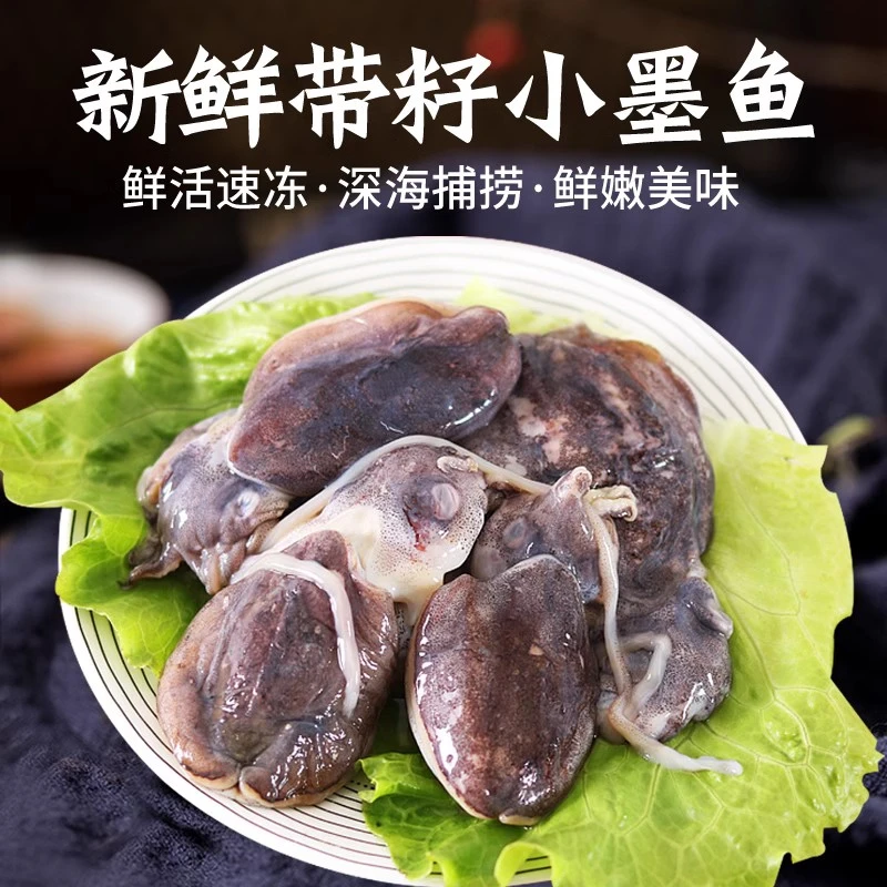 舟山满籽带籽墨鱼鲜活冷冻籽乌章鱼新鲜墨鱼仔海鲜小鱿鱼乌贼全籽