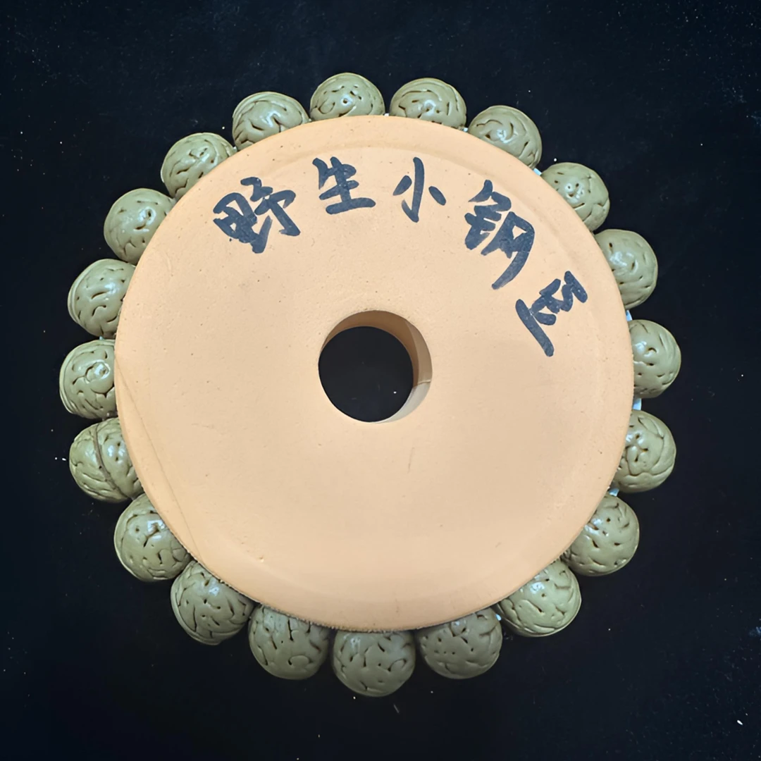 【野生小钢豆】桃核手串