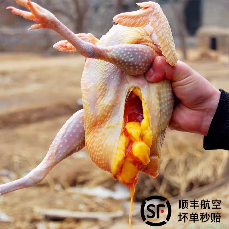 果园散养两年老母鸡，无激素，纯粮喂养顺丰包邮。不老不土包退包换