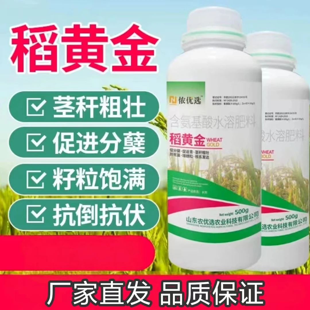 稻黄金水稻增产叶面肥抗倒伏促分蘖返青灌浆粒粒饱丰收水溶肥