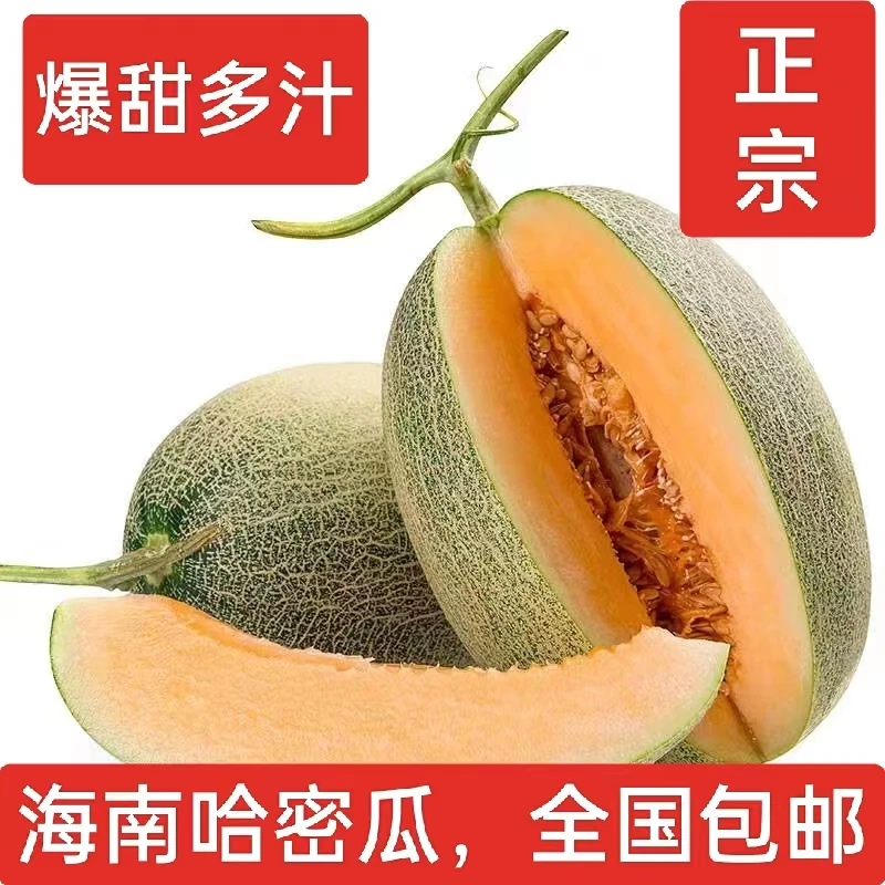 精品海南哈密瓜新鲜现摘水果网纹玫珑瓜甜瓜水果整箱香甜多汁包邮