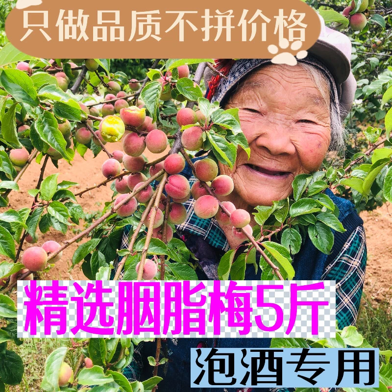 云南特产胭脂梅青梅泡酒酵素露汁梅子酱即食腌制现摘现发新鲜水果