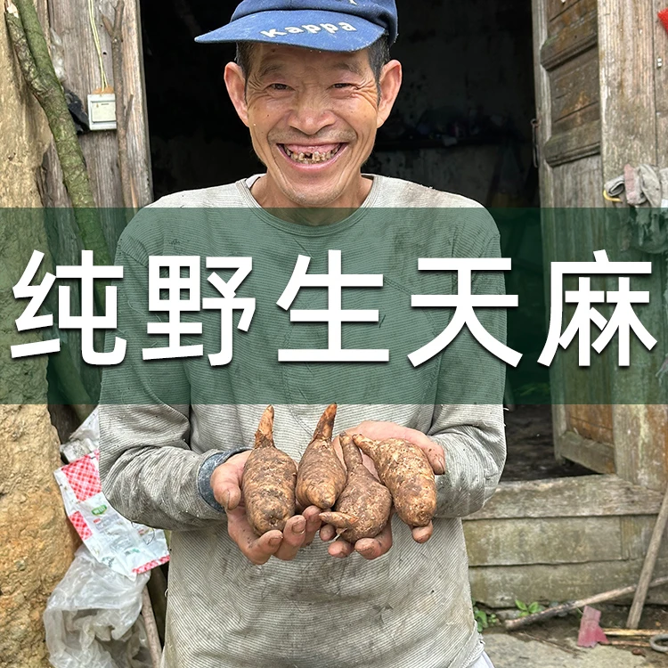 纯野生天麻云南野生天麻干货炖汤炖鸡炖排骨天麻正宗野天麻