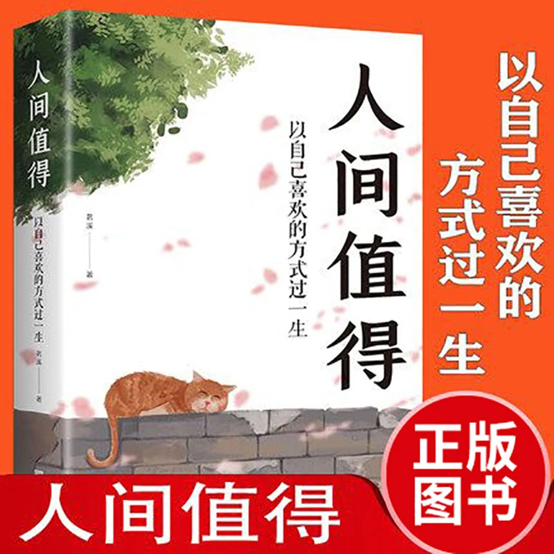 人间值得正版以自己喜欢的方式过一生成功励志哲学情商与情绪书籍