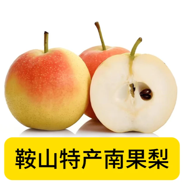 正宗辽宁鞍山南果梨新鲜水果5斤东北特产包邮