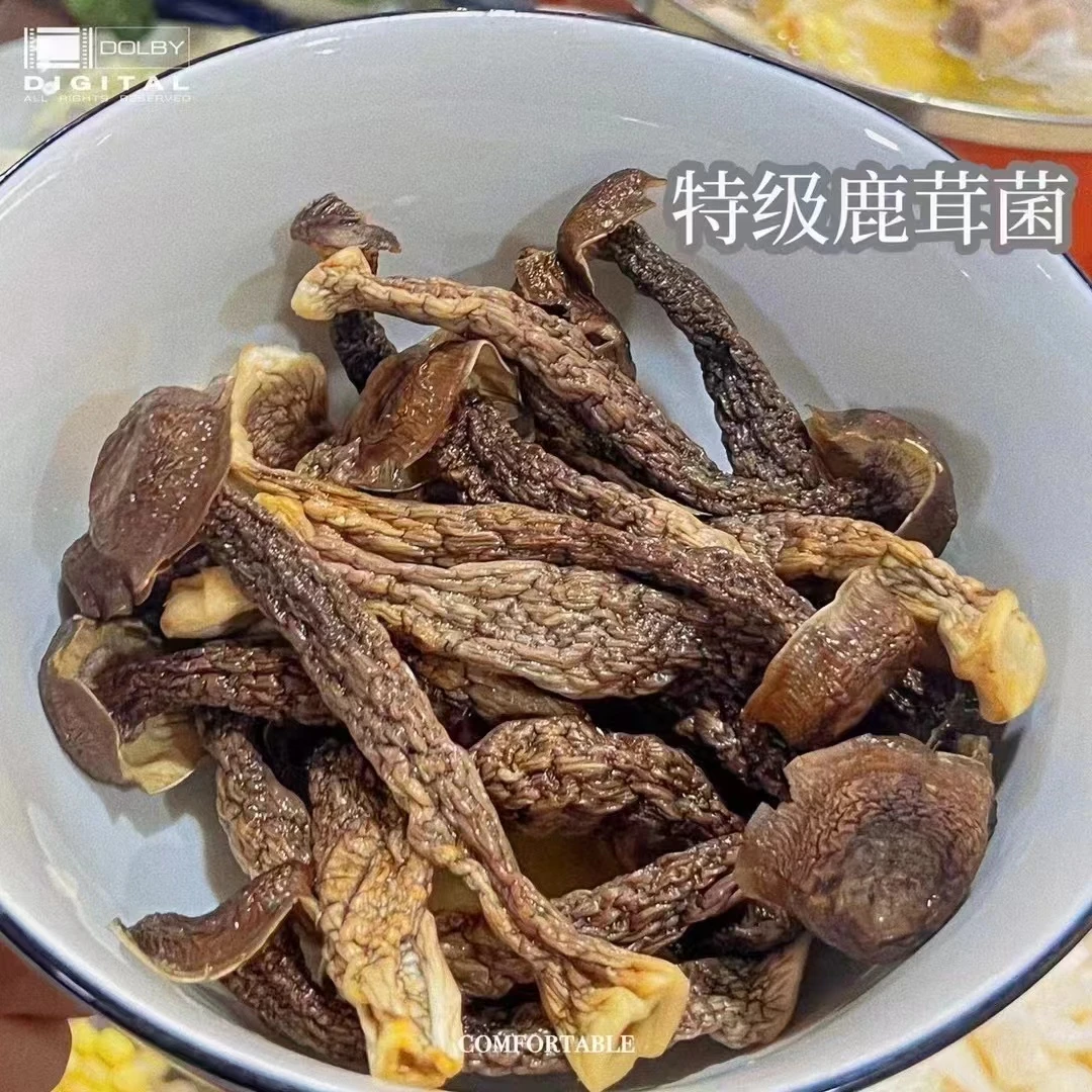 【手扶专属】特级鹿茸菇500克