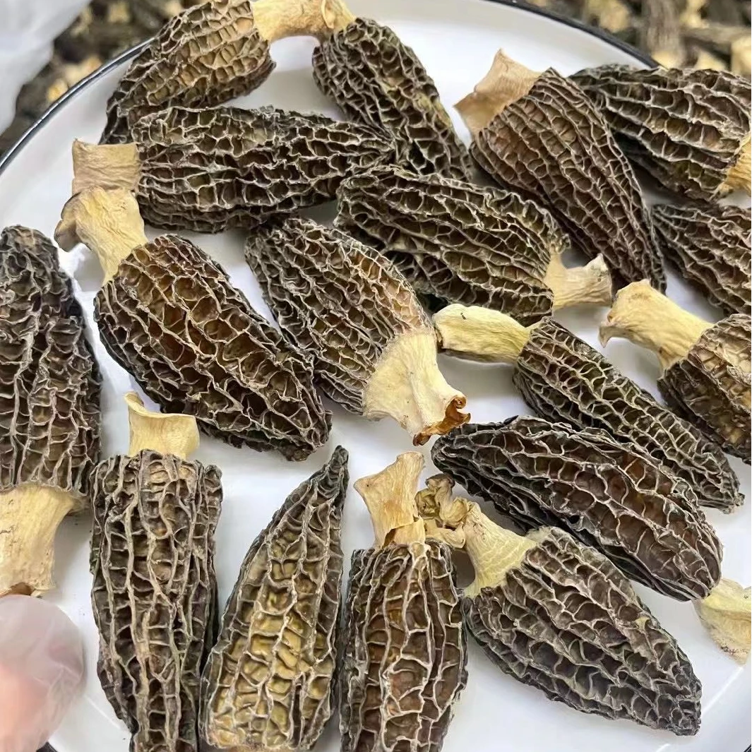 大个羊肚菌半斤（6公分左右）