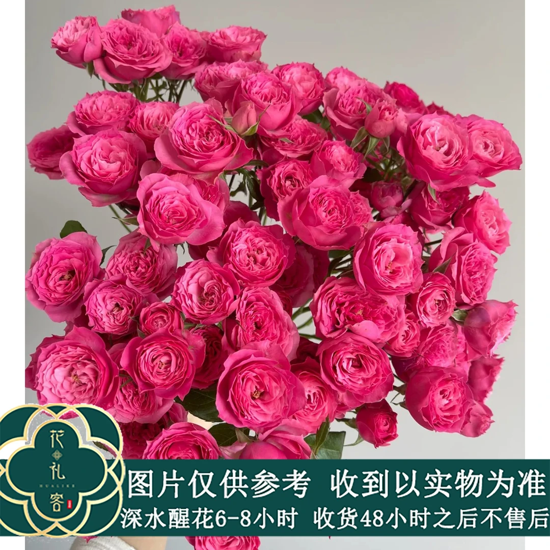 七叶花坊#多头玫瑰 【苏菲宝贝】鲜花优选 顺丰直发