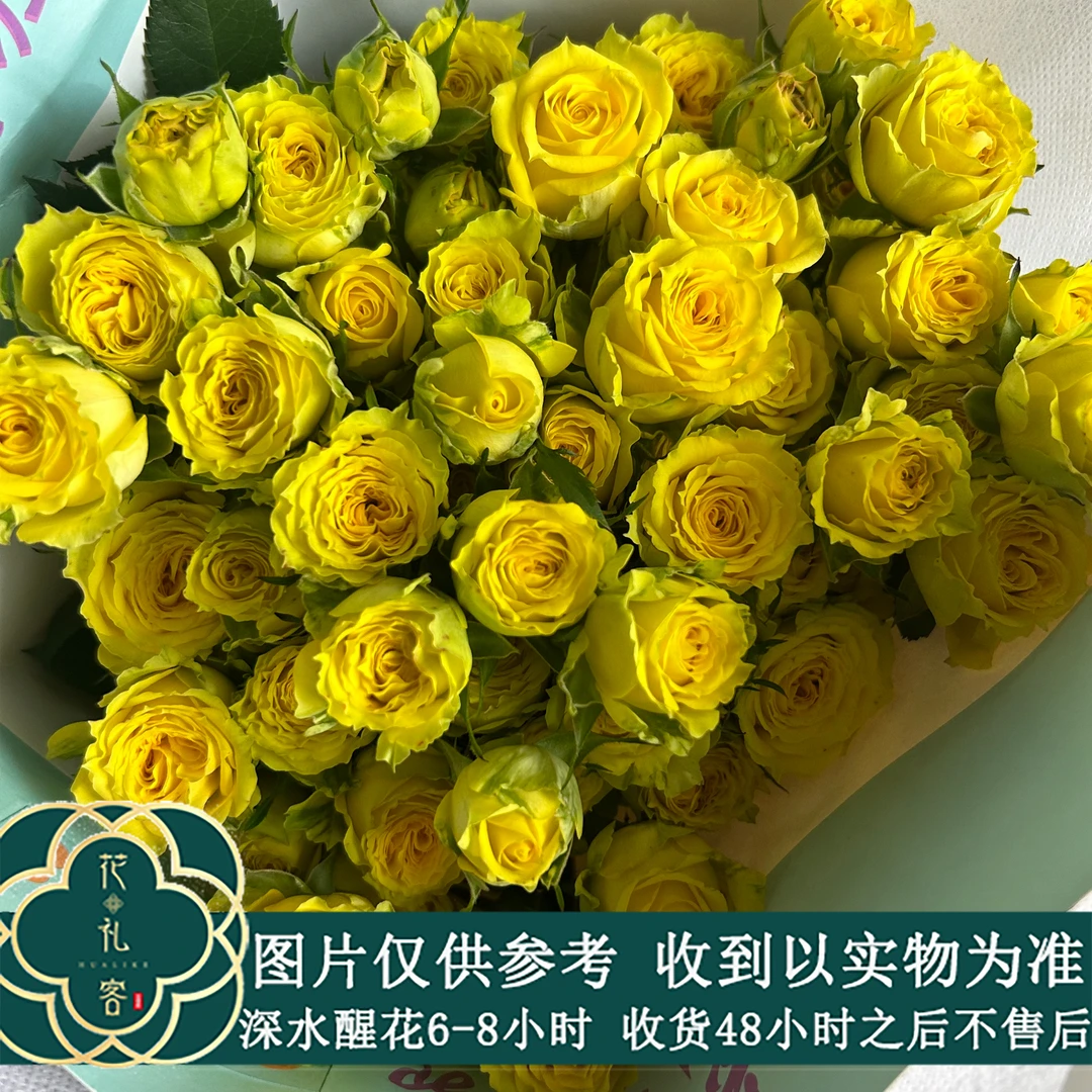 邵掌柜专属#多头玫瑰 【切诺基】高品质鲜花优选 顺丰直发