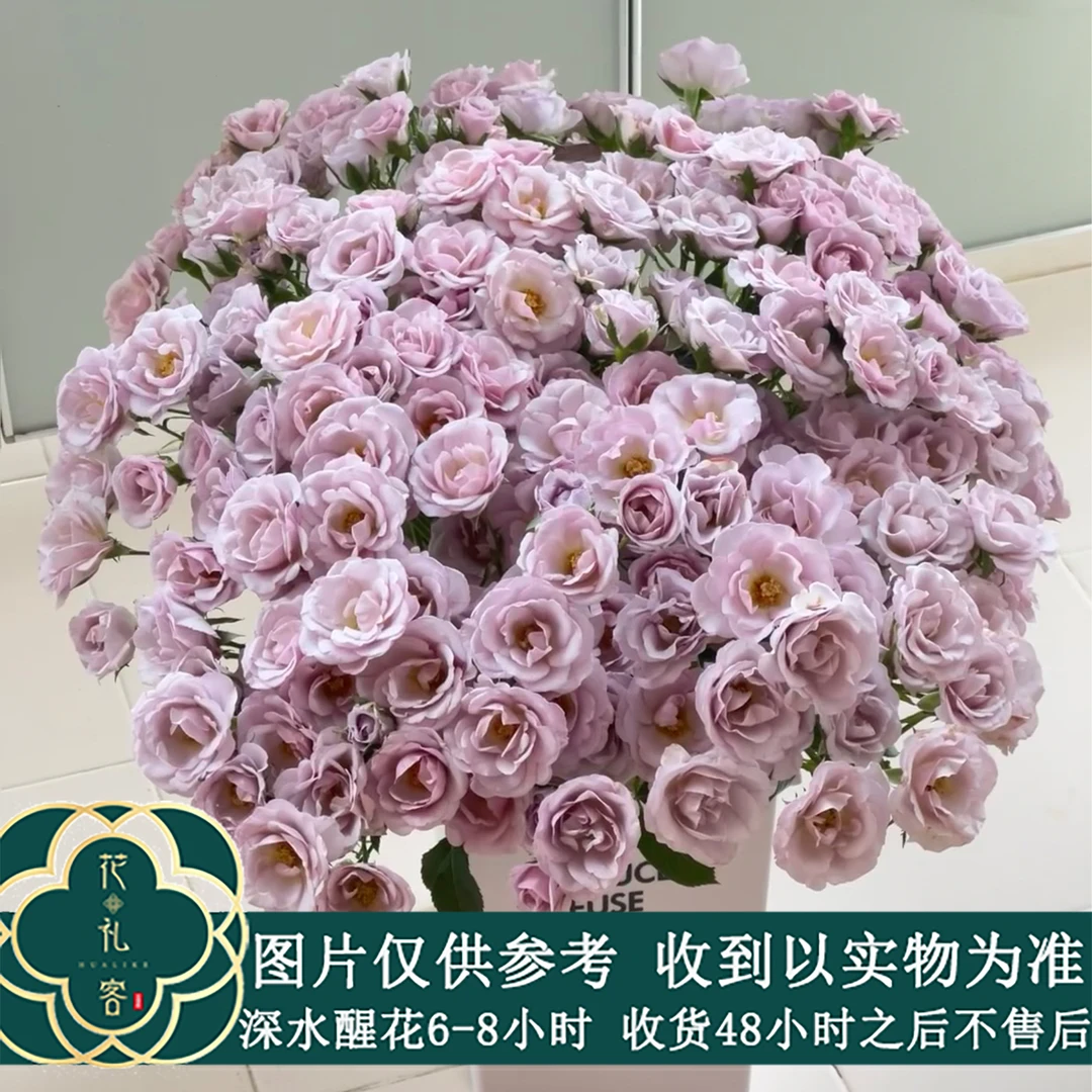 七叶花坊#多头玫瑰 【焦糖纯真】鲜花优选 顺丰直发A级鲜切花修剪
