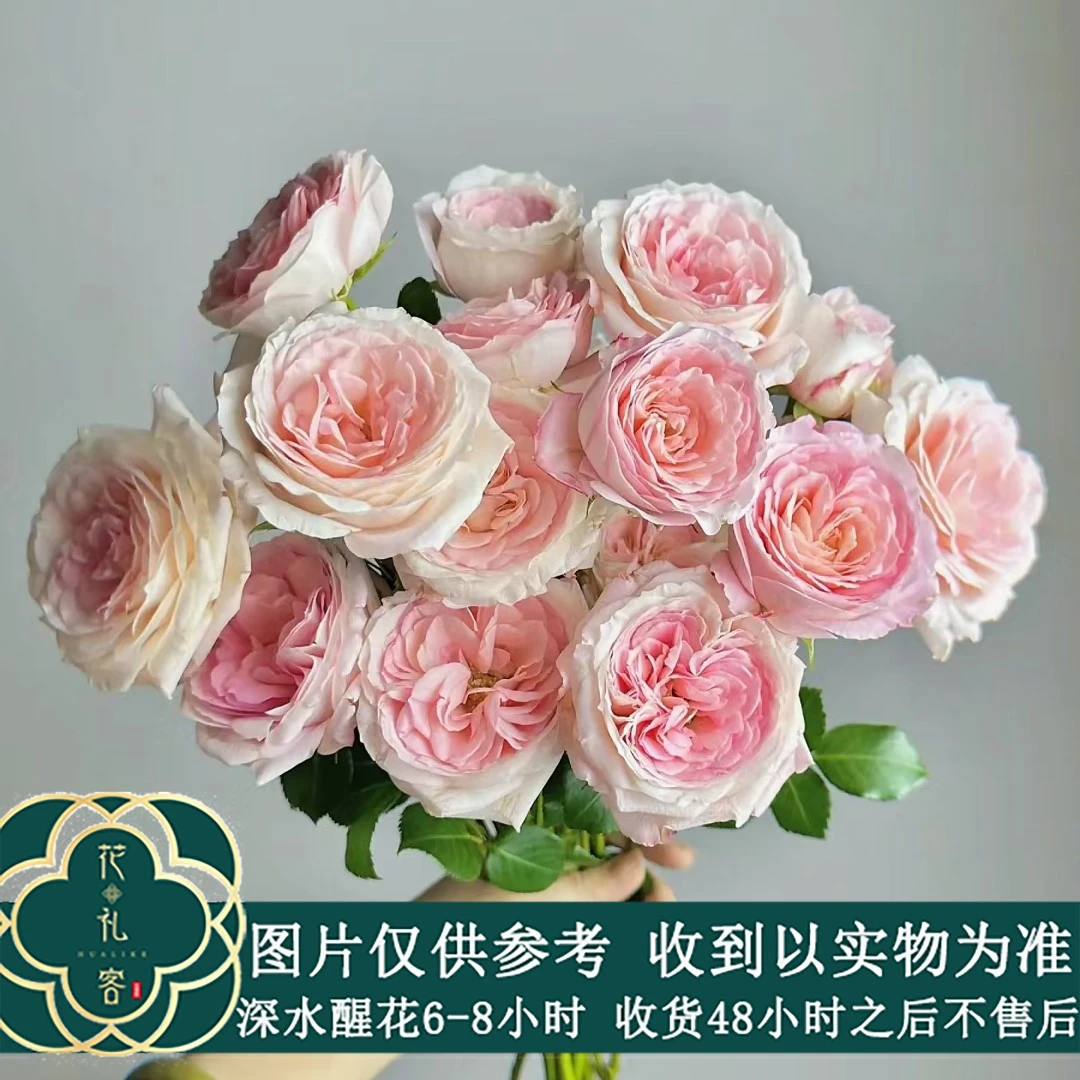 七叶花坊# 【多头新娘梅拉】鲜花优选 顺丰直发