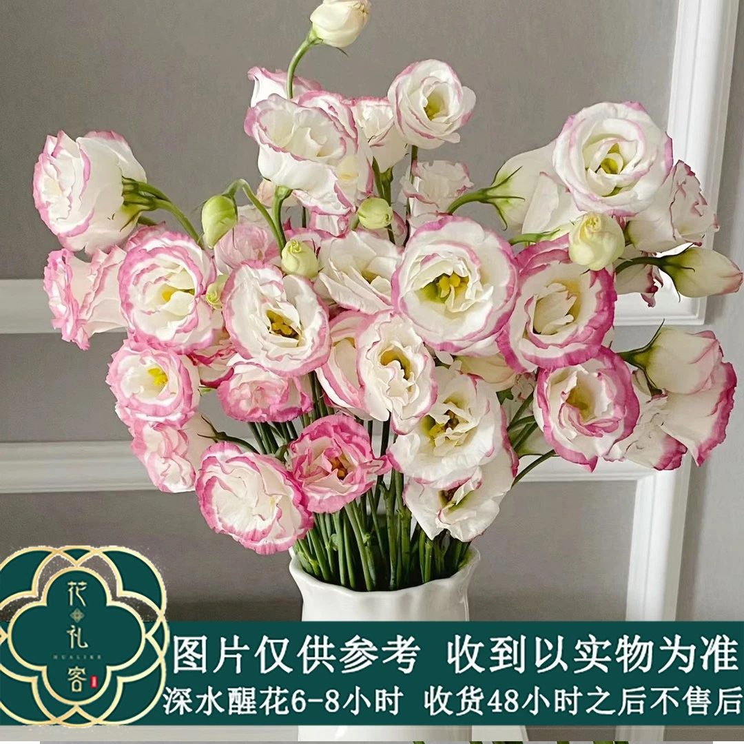 #洋桔梗自选 基地直采 顺丰直发