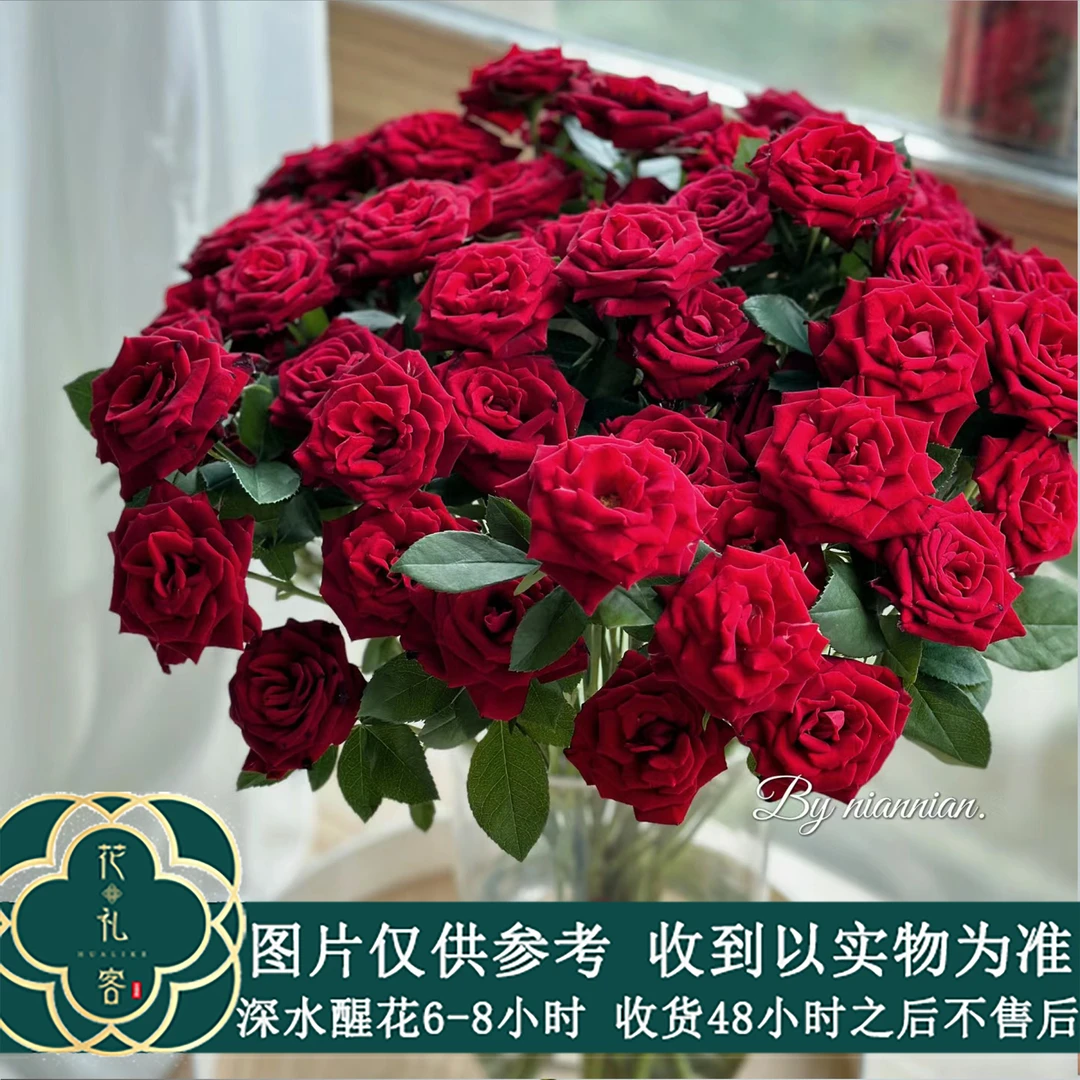 七叶花坊#多头玫瑰 【赤玉】鲜花优选 顺丰直发玫瑰花修剪养护