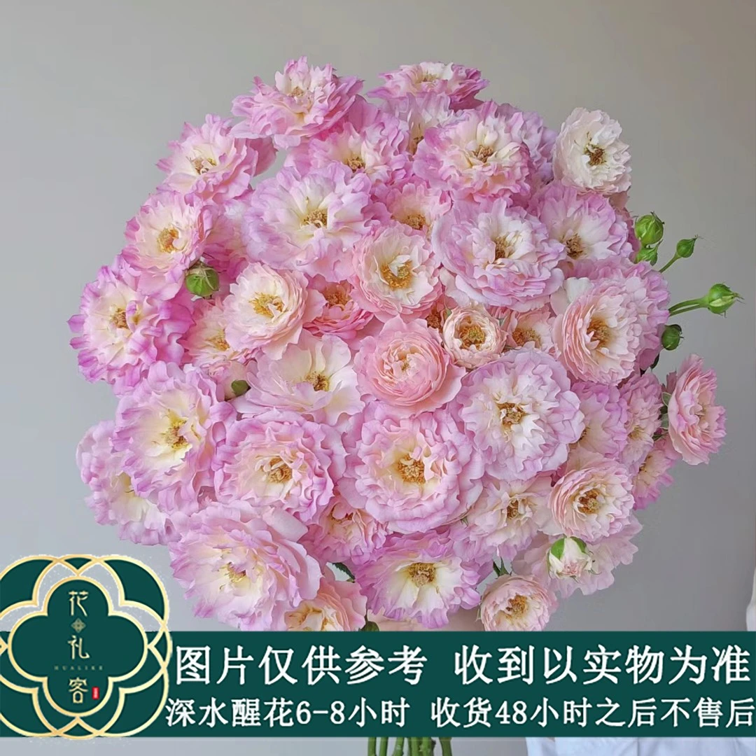 七叶花坊#多头玫瑰 【梦幻海葵】鲜花优选 顺丰直发
