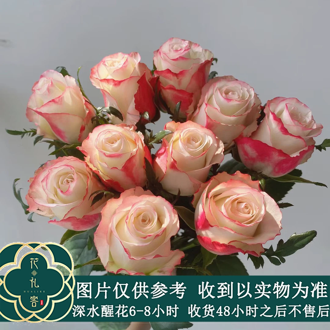 七叶花坊#单头玫瑰 【红唇】鲜花优选 顺丰直发