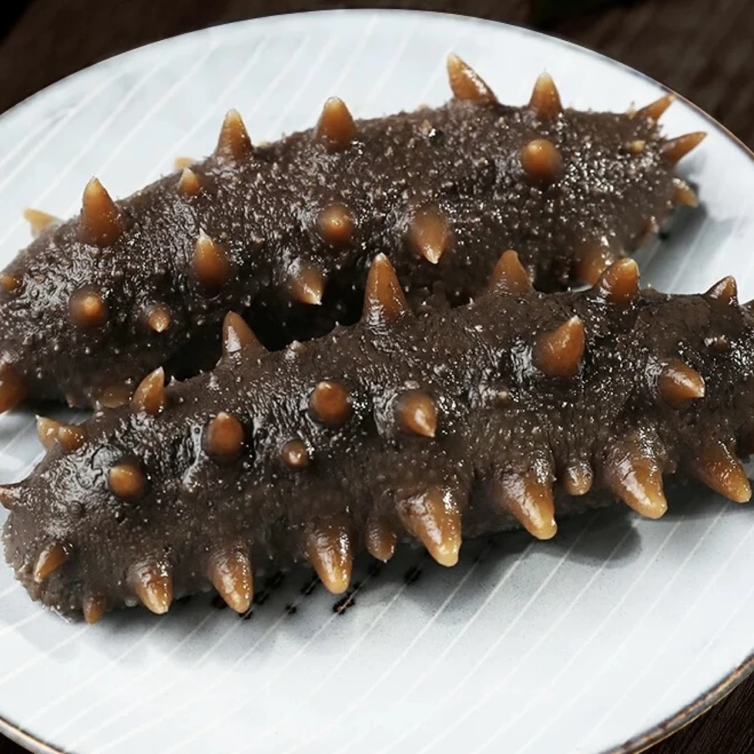 【春参特价】大连本地鲜食20-25头/斤（嫌小勿拍）开袋即食辽刺参营养