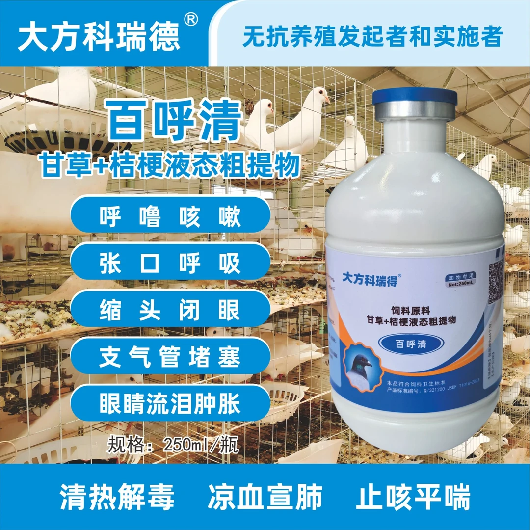 科瑞得百呼清保健呼吸道打通赛鸽种鸽幼鸽观赏鸽都鸽子养鸡鹦鹉