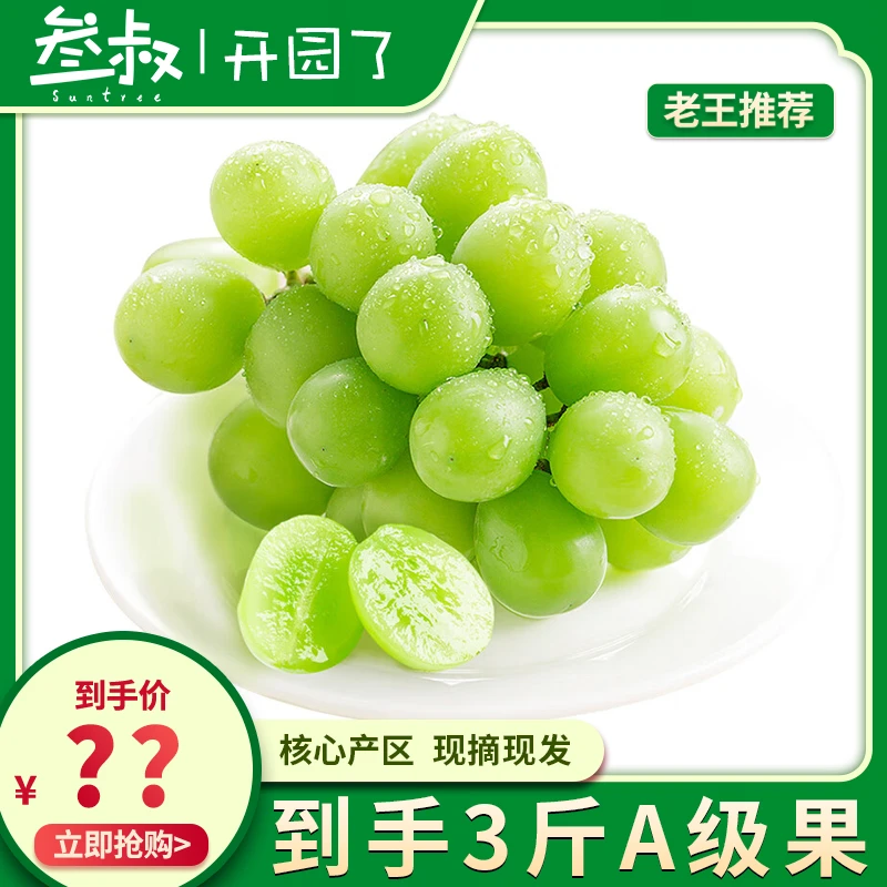 阳光玫瑰葡萄3斤现摘先发晴王水果新鲜应季顺丰包邮