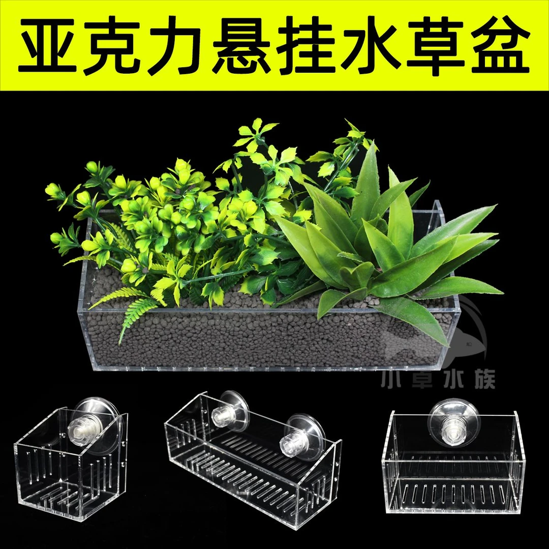绿植水培定植篮壁挂水培植物固定架水草种植杯种植盒吸盘水培器皿