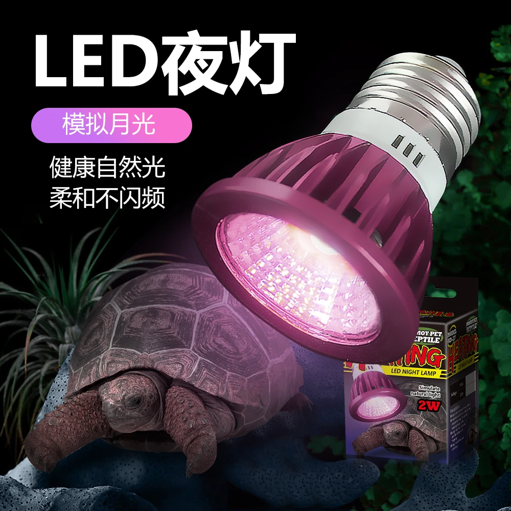 爬宠专用LED灯节能夜灯夜间照明灯爬虫鬃狮守宫蜥蜴饲养箱月光灯